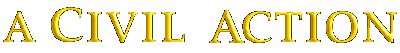 A Civil Action