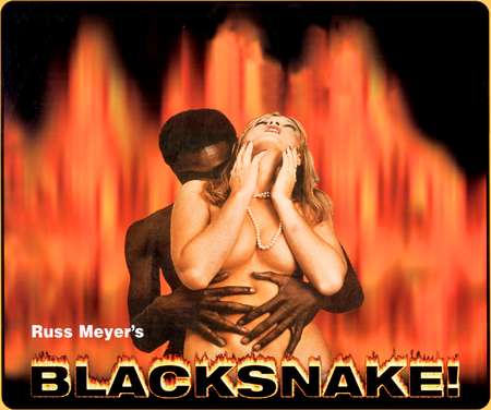 Blacksnake